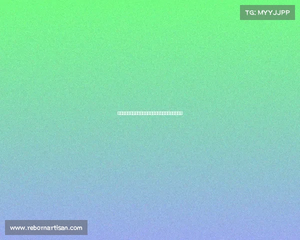 八月海口国际赛事盛大启幕激情竞技不容错过共襄体育盛举