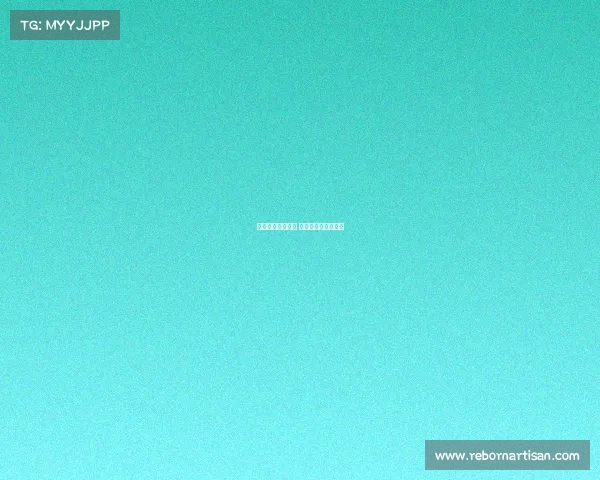 马术赛事组织结构 马术赛事组织结构图